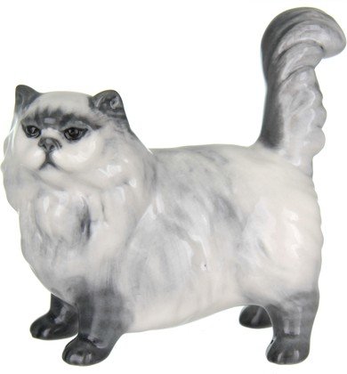Персидский кот Тафиния МН